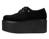 Black Velvet Stratocreeper