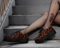 Leopard Viva Mondo Creeper