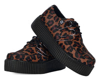 Leopard Viva Mondo Creeper